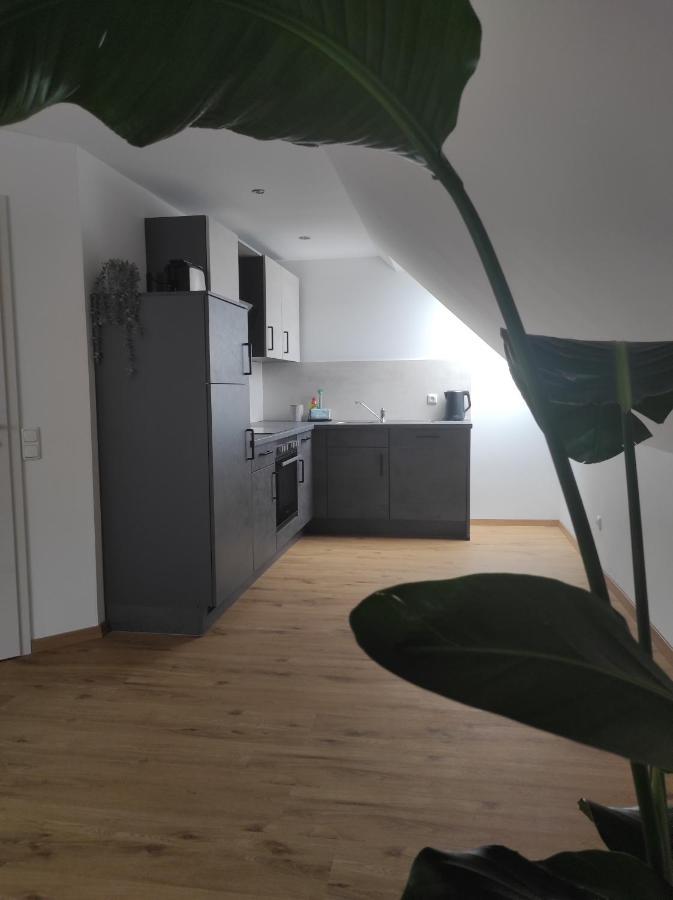 Ferienwohnung Im Distelweg Scheid  Exterior photo